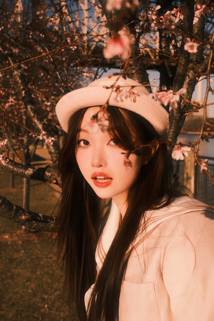 Cover — backlit portrait under blossom at golden hour